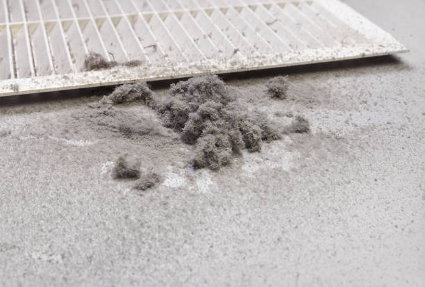 Best Local Air Duct Cleaning Services  in Temple City, CA