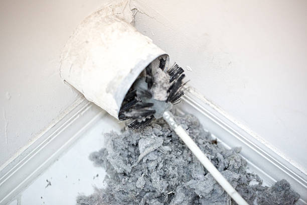 Best Affordable Duct Cleaning Services  in Temple City, CA